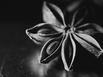 Grayscale Photo of Sedum