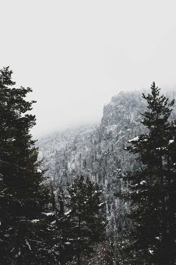 grayscale photo of snow covered mountain and trees
