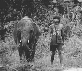 Grayscale Photo of Teenage Boy Walking Beside Grazing Baby Elephant