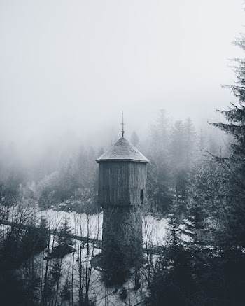 Grayscale Photo of Tower Near Trees during Winter