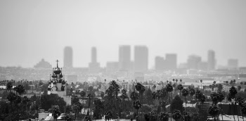 Grayscale Photo of Trees and Buildings