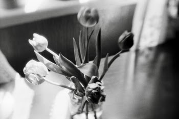 Grayscale Photo of Tulip Flowers in a Glass Jar  · Free Stock Photo