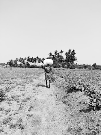 Grayscale Photo of Woman Walking on Pathway