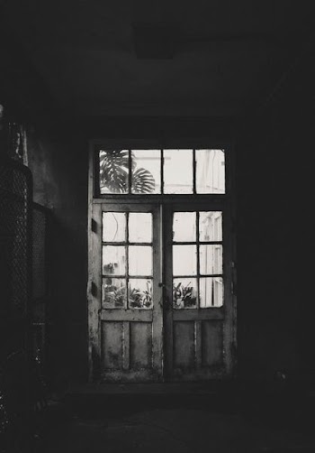 grayscale photo of wooden framed clear glass door