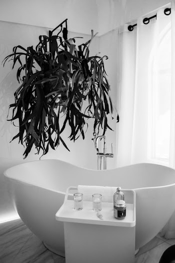 Grayscale Photography of Bathtub Near Window