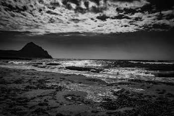 Grayscale Photography of Beach