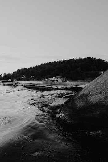 Grayscale Photography of Boat Beside Trees