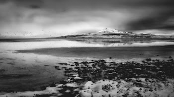 Grayscale Photography of Body of Water