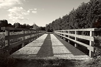 Grayscale Photography of Bridge