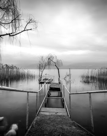 Grayscale Photography of Bridge