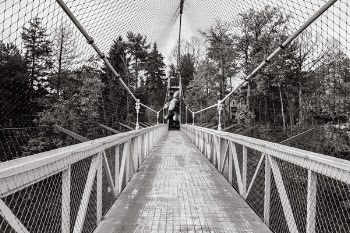 Grayscale Photography of Bridge