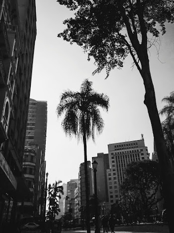 Grayscale Photography Of Buildings And Park