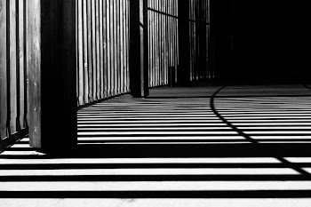 grayscale photography of cages