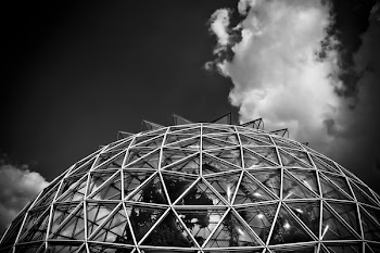 Grayscale Photography of Clear Glass Dome Building