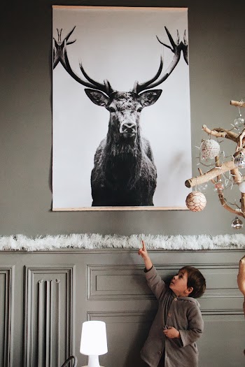 Grayscale Photography of Deer on Wall