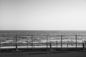 Grayscale Photography of Fence Beside Ocean