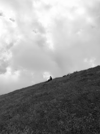 Grayscale Photography of Grass Field