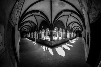Grayscale Photography of Hallway