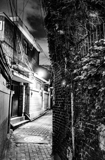 Grayscale Photography of Hallway in Between House