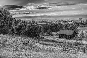 Grayscale Photography of House Beside Trees