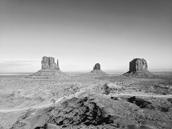 Grayscale Photography of Landscape
