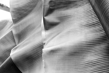 Grayscale Photography of Mat