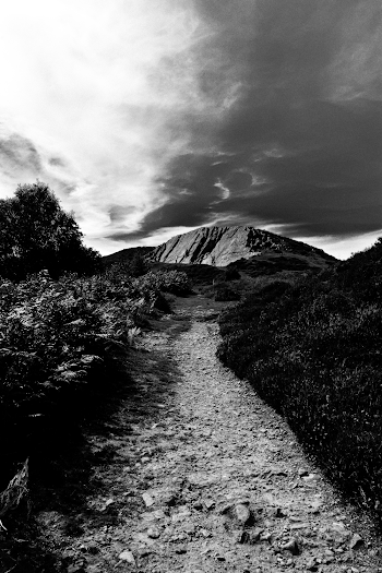 Grayscale Photography of Mountain