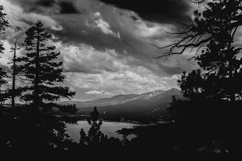 Grayscale Photography of Mountains and Trees
