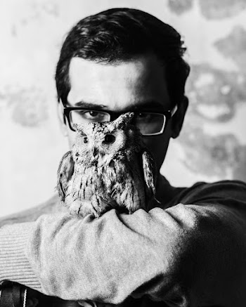 Grayscale Photography of Owl on Man's Arm