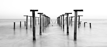 Grayscale Photography of Posts in Body of Water