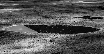 Grayscale Photography of Puddle
