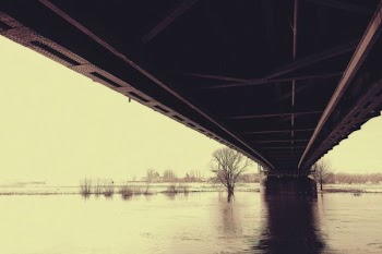 Grayscale Photography of River Under Bridge
