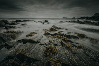 Grayscale Photography of Seashore