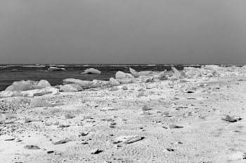 Grayscale Photography of Seashore