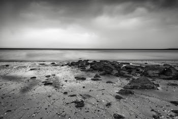 Grayscale Photography of Seashore
