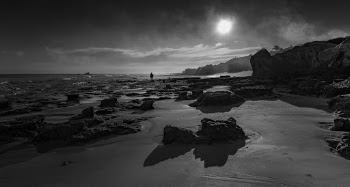 Grayscale Photography of Silhouette of Person Standing on Seashore