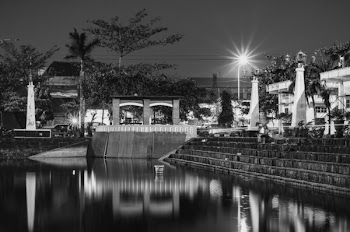 Grayscale Photography Of Stairs Beside Body Of Water