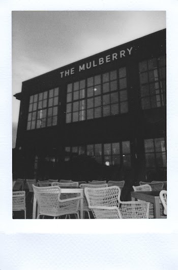 Grayscale Photography of the Mulberry Building