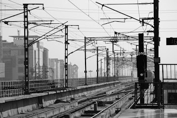 Grayscale Photography of Train Station