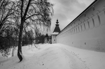 Grayscale Photography of Tree on Snow Near Building