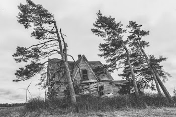 Grayscale Photography of Trees and House