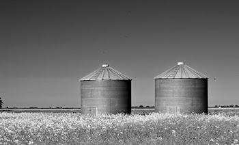 Grayscale Photography of Two Silo on Grass