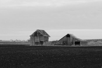 Grayscale Photography of Two Wooden Sheds on Plane