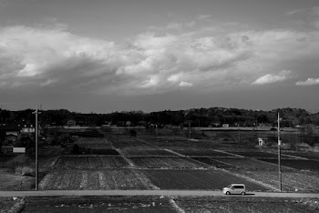 Grayscale Photography Of Van On The Road