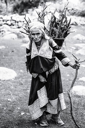 Grayscale Photography of Woman Carrying Branches