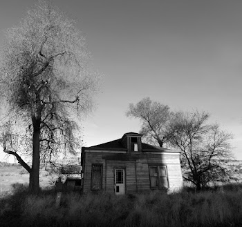 Grayscale Photography of Wooden House in Field