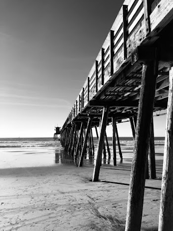 Grayscale Photography of Wooden Seadock