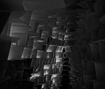 grayscale structural photography