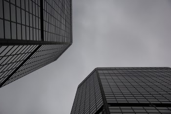 Grayscale Worm's Eye Photography
