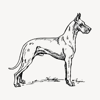 Great Dane dog, pet clipart | Free Vector Illustration - rawpixel